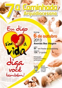 cartaz-sim-a-vida-2013