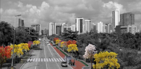 Ciclofrescas52-470x230