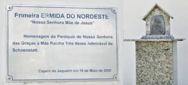 Apresentação1