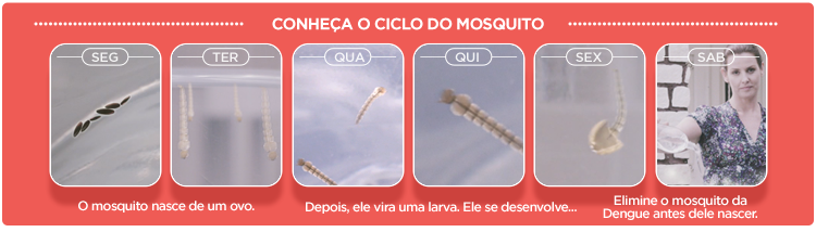 calendario