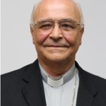 Dom Palmeira