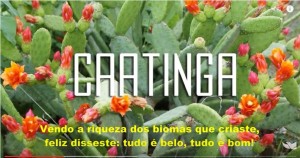 caatinga