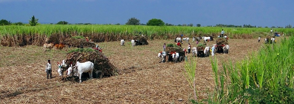 Movimentos do campo apresentam impactos da Reforma da Previdência à CNBB