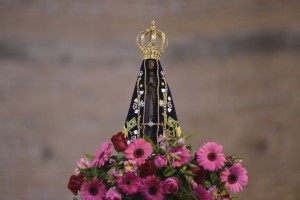 Imagem-peregrina-de-Nossa-Senhora-Aparecida