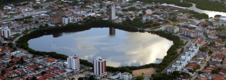 Assoreamento da Lagoa do Araçá é debatido em audiência na Câmara do Recife