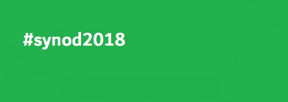 Redes sociais na preparação para o Sínodo dos Jovens