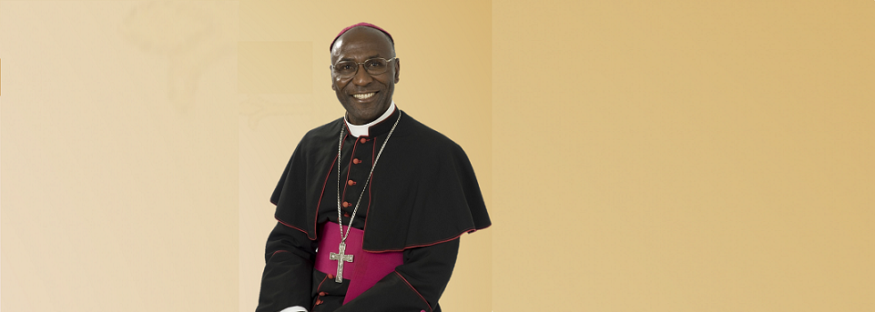 Papa Francisco acolhe pedido de renúncia de dom Gílio Felício