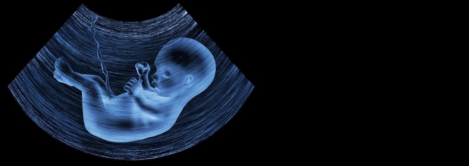 Posição da CNBB em defesa incondicional da vida humana e contra o aborto
