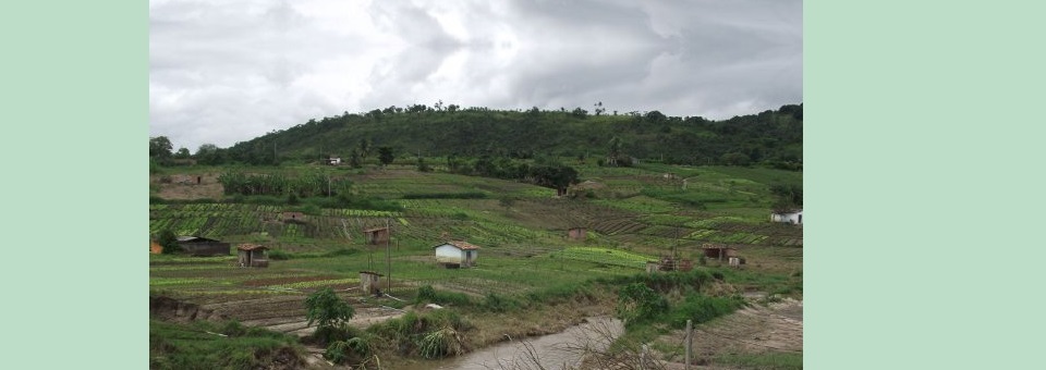 Agricultores de Vitória fazem apelo a dom Fernando Saburido