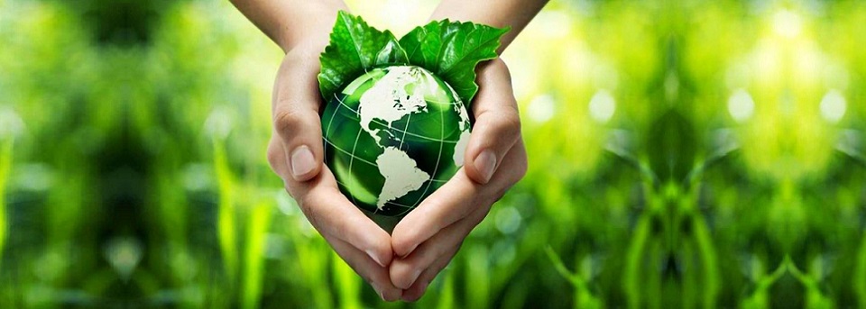 ‘Laudato si’ incentiva Vaticano a abolir o plástico do cotidiano