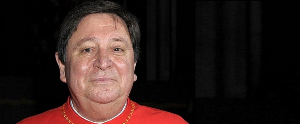 Cardeal brasileiro João Braz é nomeado presidente delegado do Sínodo para a Amazônia