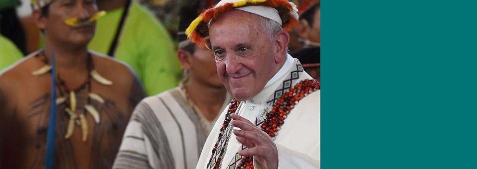 Papa planta árvore de Assis nos Jardins do Vaticano no Dia de São Francisco