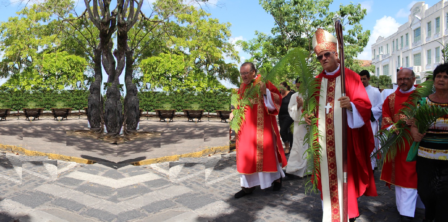 Arquidiocese convida fiéis a acompanharem em casa a celebração de Ramos