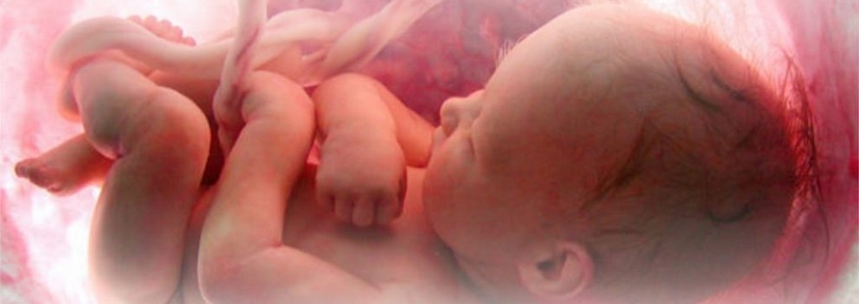 Regionais Nordeste II e Sul I da CNBB emitem nota sobre o aborto em Recife