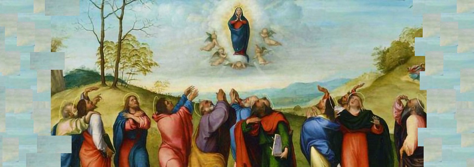Roteiro para celebrar a solenidade da Assunção de Maria em família