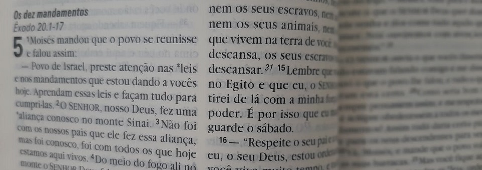 Artigo de Dom Fernando sobre o Mês da Bíblia