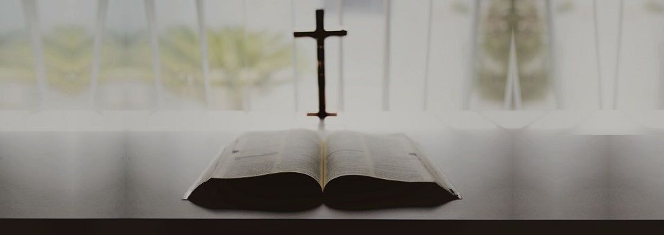 Comissão Arquidiocesana de Animação Bíblica promove formação online