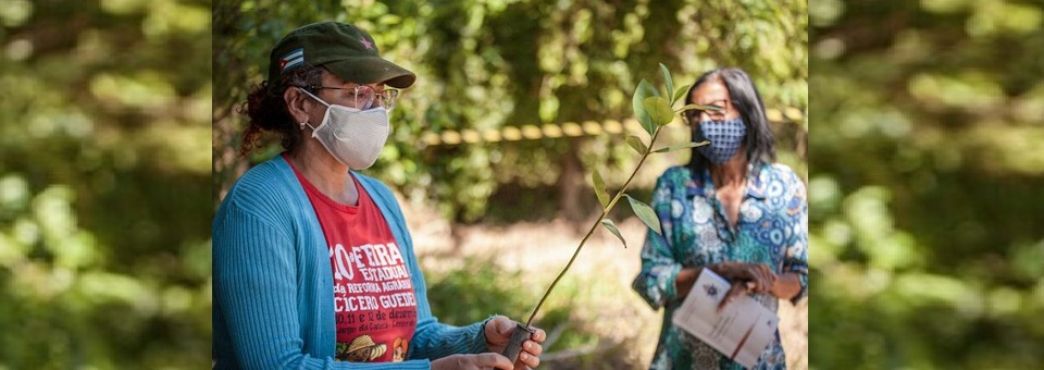 Arquidiocese participa de plantio de 300 mudas em Moreno
