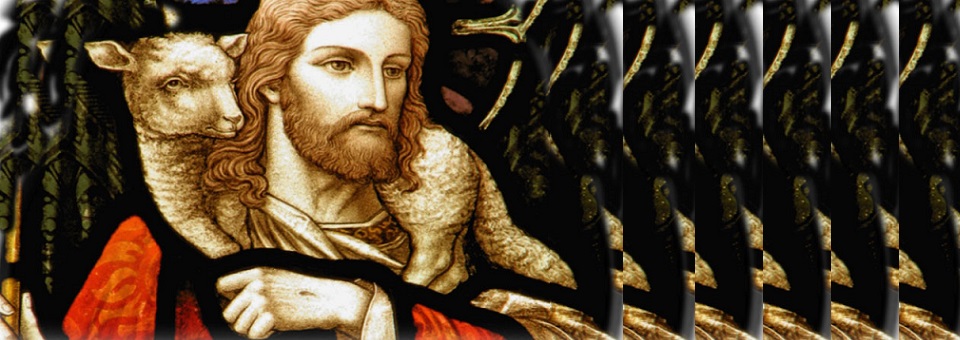 Roteiro para celebrar o 4º Domingo da Páscoa em família