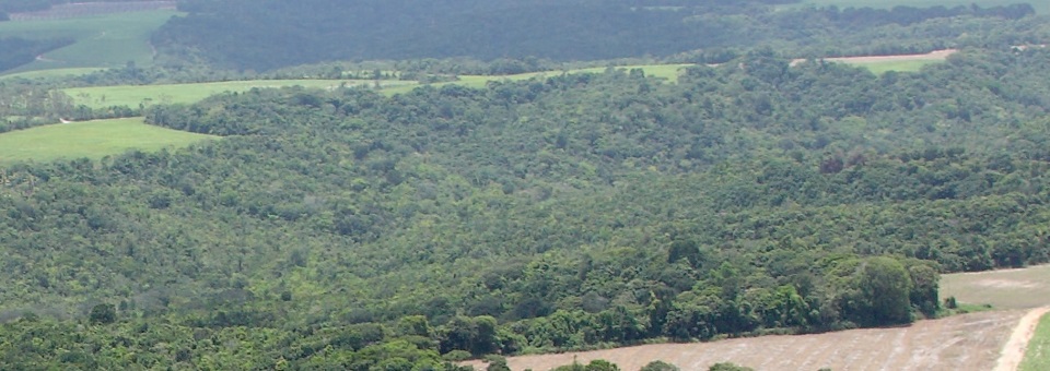 Pastoral Ambiental discute Arco Viário Metropolitano com representantes do Governo