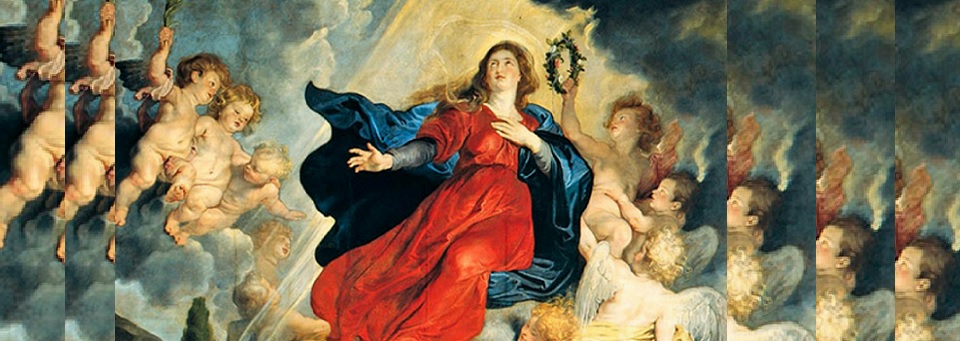 Liturgia para rezar em família neste domingo  (15/08)