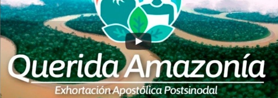 “Querida Amazônia” dois anos depois: Celam, realizar os “quatro sonhos” de Francisco