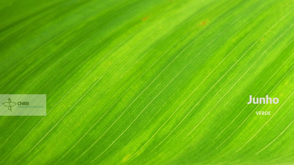 Organizadores da Campanha Junho Verde divulgam  formulário de registro das ações realizadas em todo o Brasil. Acesse.