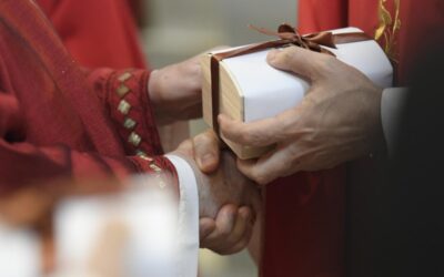 Arcebispos brasileiros receberam o pálio arquiepiscopal abençoado pelo Papa