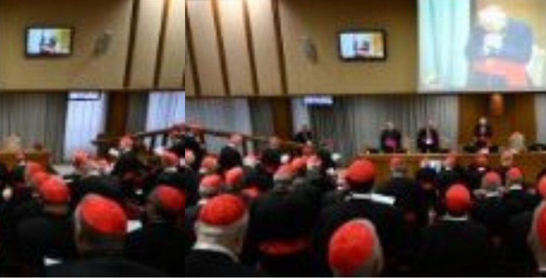 Tudo pronto para o Conclave: os 133 cardeais eleitores já estão em Roma 