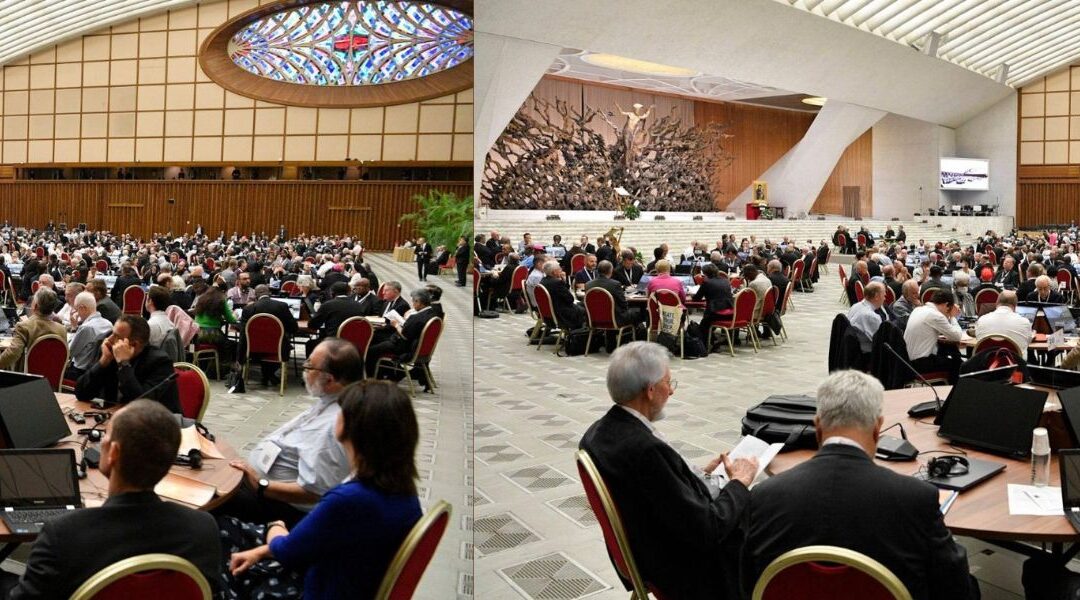 A Equipe Nacional de Animação do Sínodo traça ações para a fase de implementação do Sínodo no Brasil