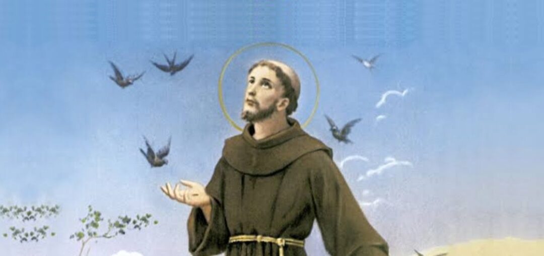 Dia de São Francisco é também dia de bênçãos para os animais. Veja aonde levar seu pet!