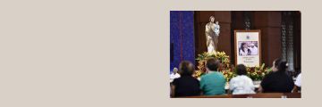 Comissão Vida e Família celebra 10 anos da Exortação Amoris Laetitia sobre o amor na família