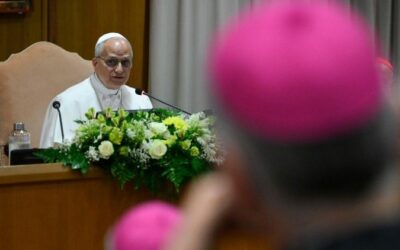 O Papa: para construir a paz, desarmar a tecnologia e a Inteligência Artificial